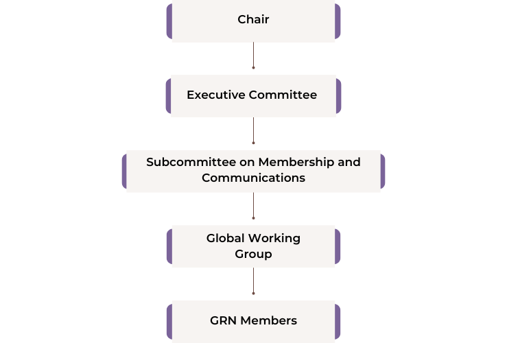 Organisational Structure of The Global Recovery Network. Chair, Executive Committee, Subcommittee on Membership and Communications, Global Working Group, GRN Members.